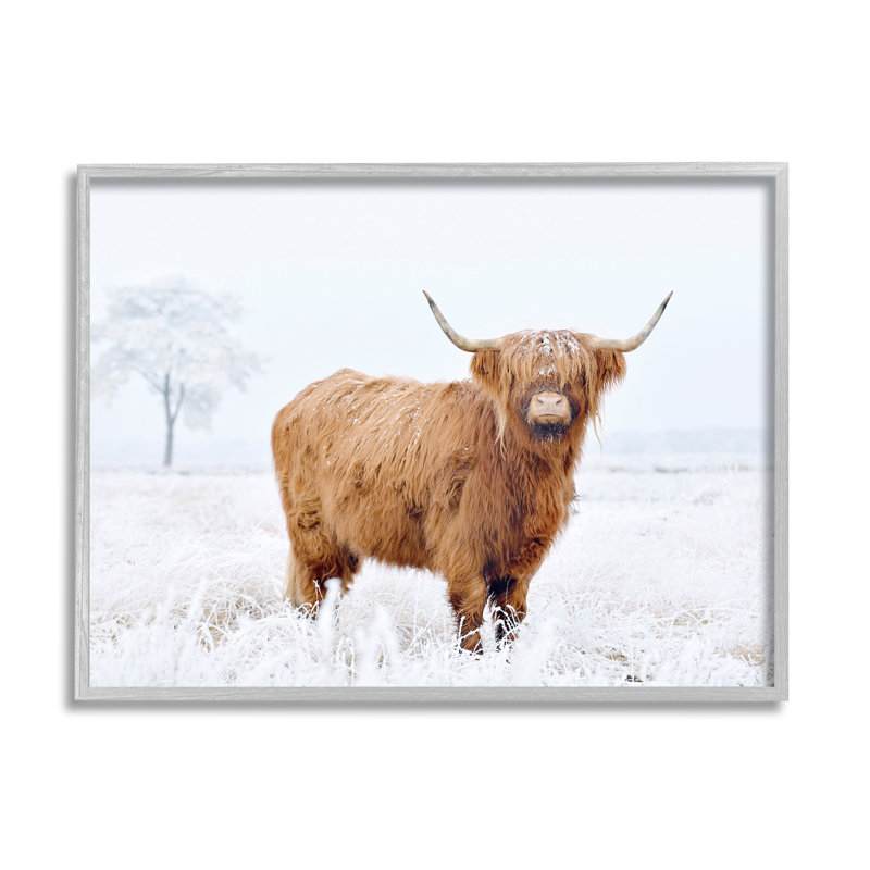 «Stupell Industries Highland Cow in Snow», art de la giclée par Krista Broadway, H 11 po x l 14 po x P 1,5 po