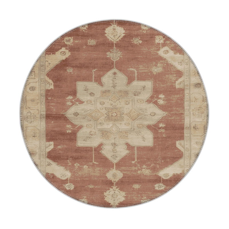Tapis intérieur et extérieur brun Overdyed, Rond 5 pi