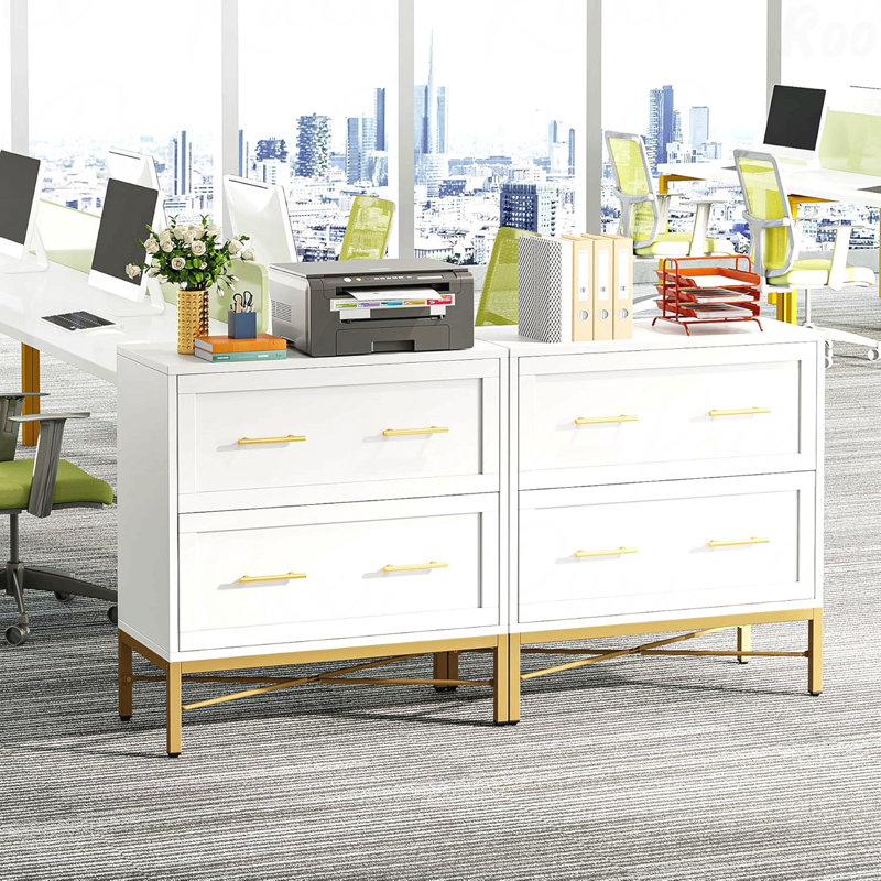 Modern 2-Drawer Lateral File Cabinet with Gold Accents