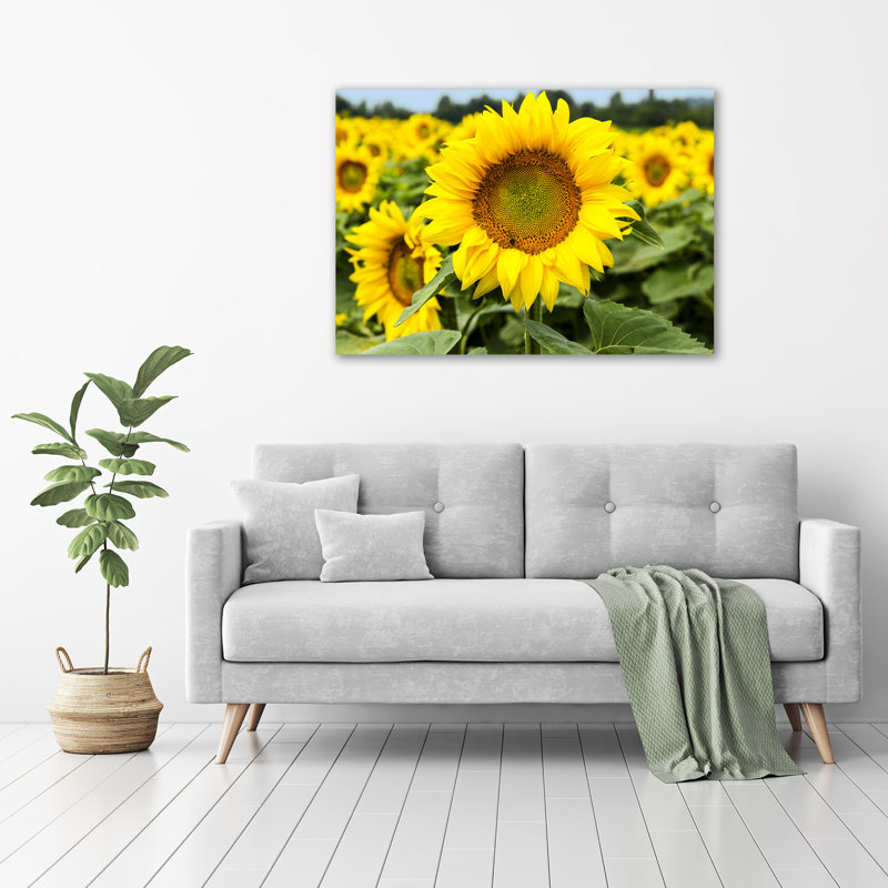 Field Of Sunflowers - No Frame Print on Glass