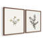 «Vintage Floral XVII», impression giclée sur cadre - ensemble de 2-741068190-741068185
