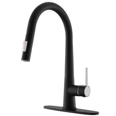 Fapully Pull Down Kitchen Faucet