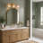 Elisabette 23.6" W 3-Light Dimmable Vanity Light