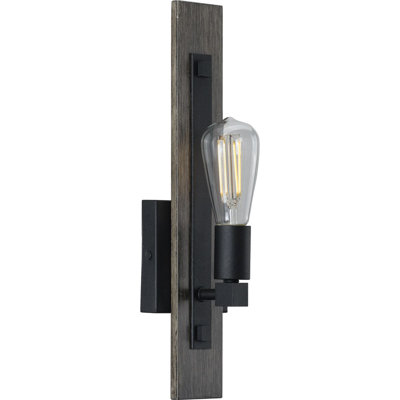 Camas Steel Armed Sconce