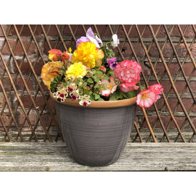 Sundhya Pot Planter
