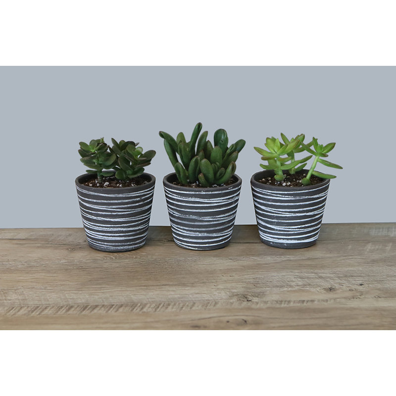Pot à fleur en terre cuite naturel, Gris foncé