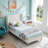 Janine Corduroy Upholstered Wingback Bed with Slat Kit and Solid and Manufactured Wood Frame-749801283-749801282