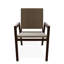 Bazza Outdoor Dining Chair-529171560-529171561
