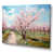 Wrapped Canvas is unavailable