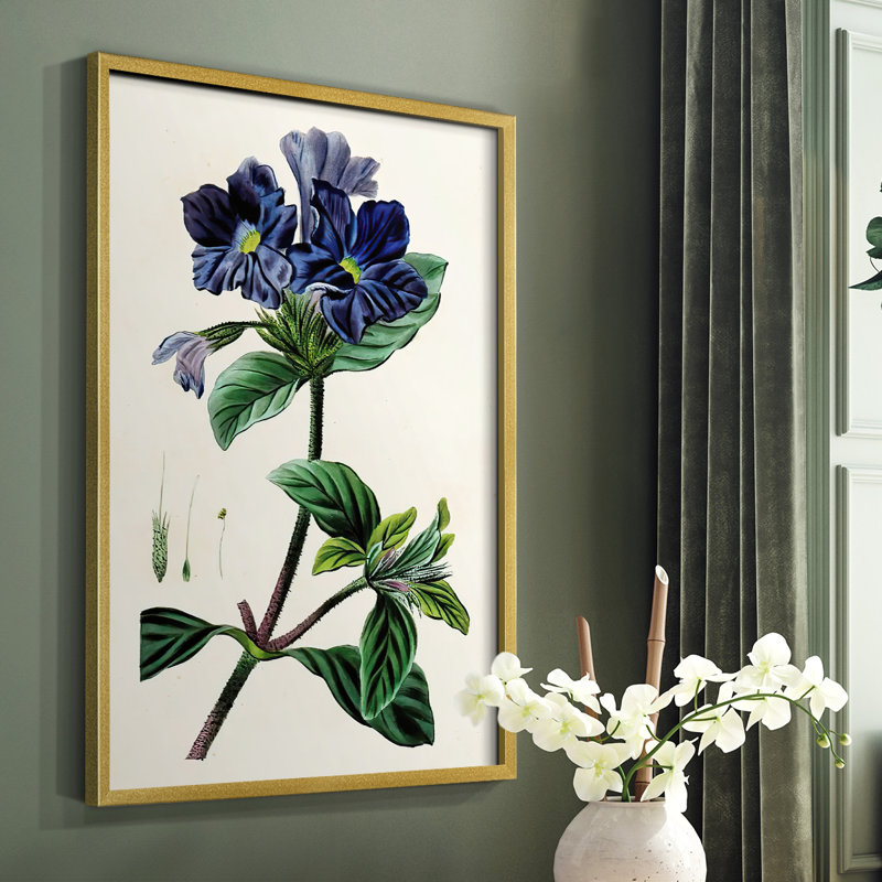 Reproduction encadrée Antique Floral Folio IV - bois massif, H 20 po x l 16 po
