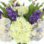 Arrangement floral avec hortensias et bruyère-97080544-97080551