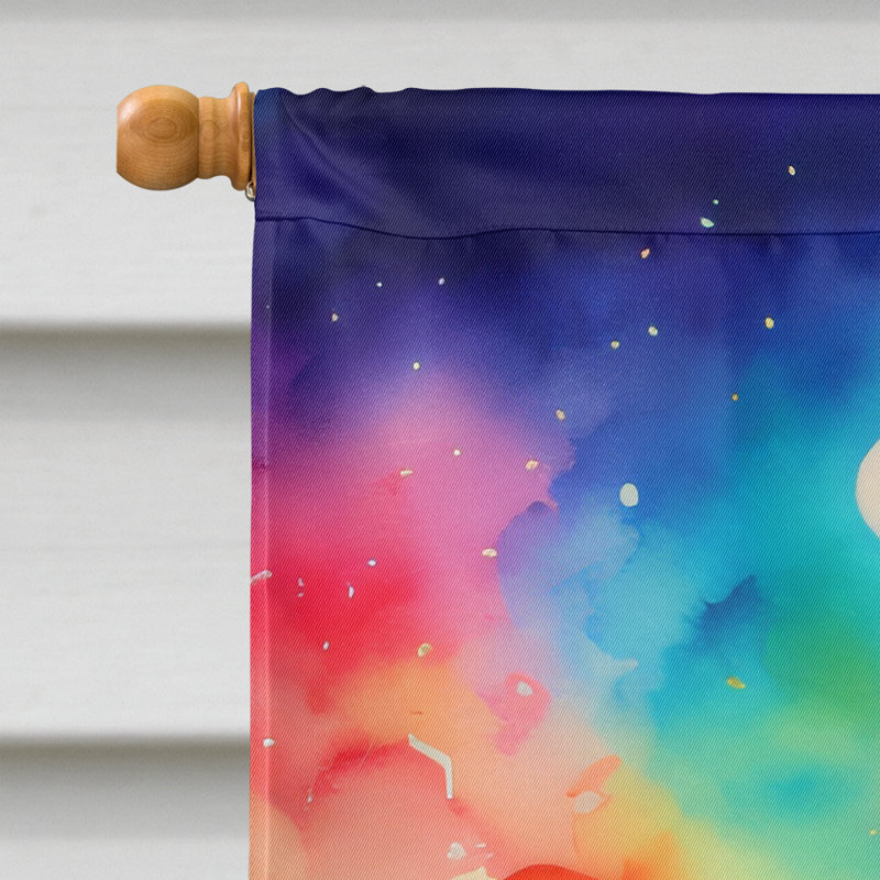 Drapeau de maison en polyester à double face H 40 po x l 28 po