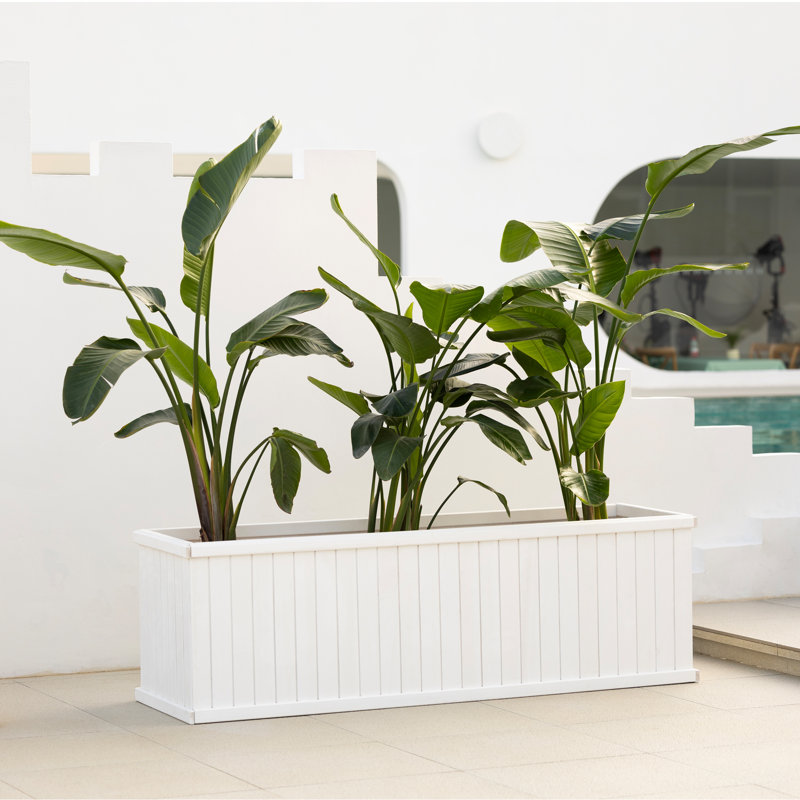 Boîte à fleurs rectangulaire en cèdre massif avec trous de drainage Barros, Blanc, H 22,5 po x l 72 po x P 22,5 po