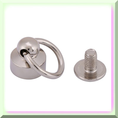20-Piece Silver Round Head Button Stud Leathercraft Screws and Rivets