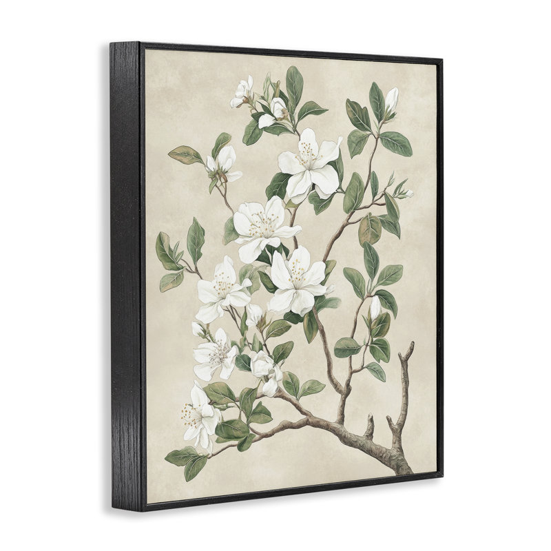 Giclée vintage sur un arbre fleuri, design par Petal Prints Design, H 14 po x l 11 po, Giclée encadrée noir minuit
