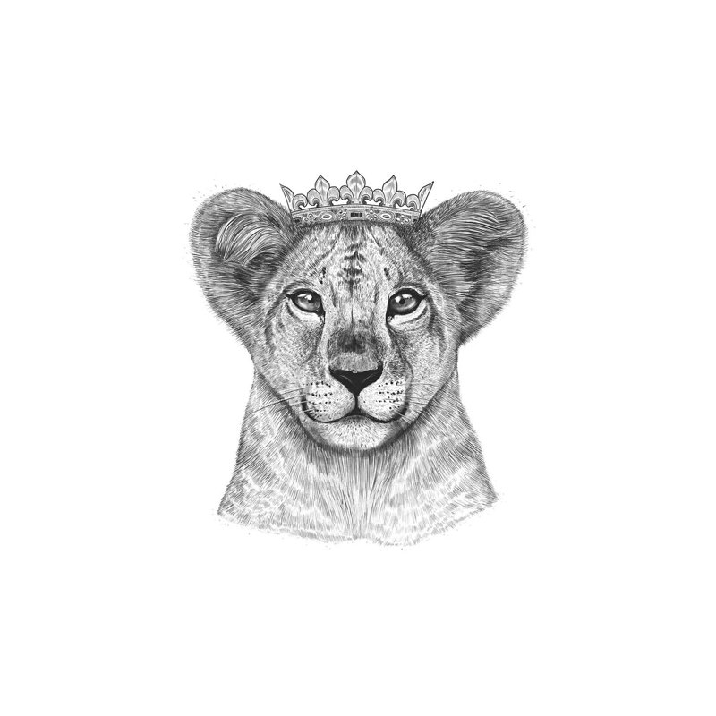 Lion Princess by Valeriya Korenkova - Wrapped Canvas Print, 66.04 cm H x 45.72 cm W