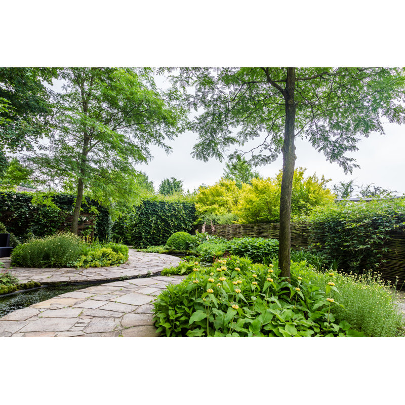 Garden Design With Water Elements - Wrapped Canvas Print, 30cm H x 46cm W