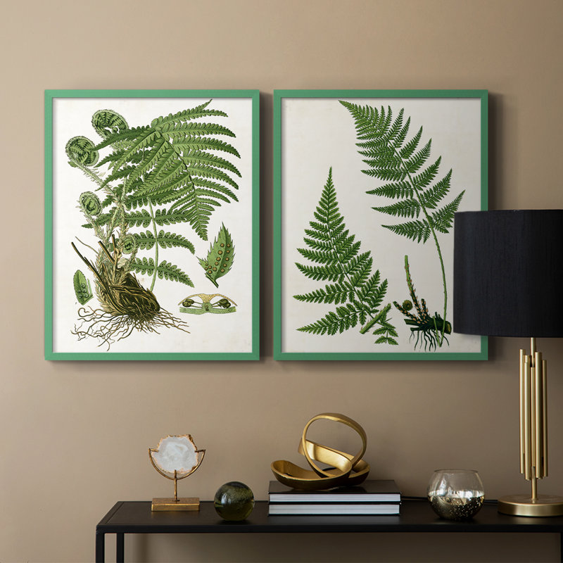 Impression encadrée Fern I-Premium - prête à être accrochée - aucun clou requis - aucun clou requis, Gris, H 21 po x l 34 po