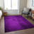 Borgen Indoor / Outdoor Rug-1489188882