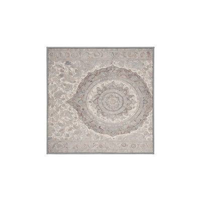 Machine Washable Gray Area Rug