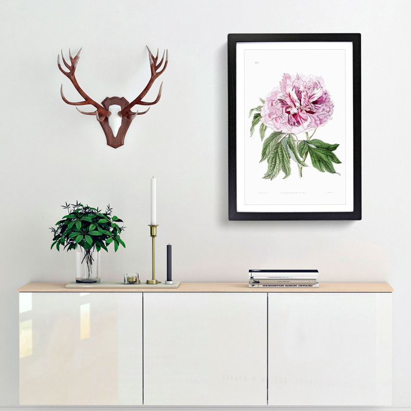 Pink Tree Peony Flower - Picture Frame Painting Print, Black Framed, 48cm H x 36cm W x 2cm D