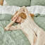 Ensemble de housse de couette pour toutes les saisons-128840093-128840094