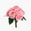 Arrangement-381140283