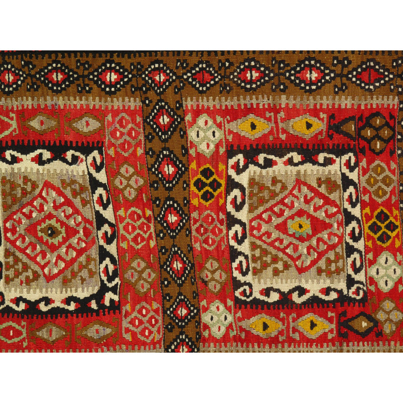 Muirne Oriental Area Rug in Rust