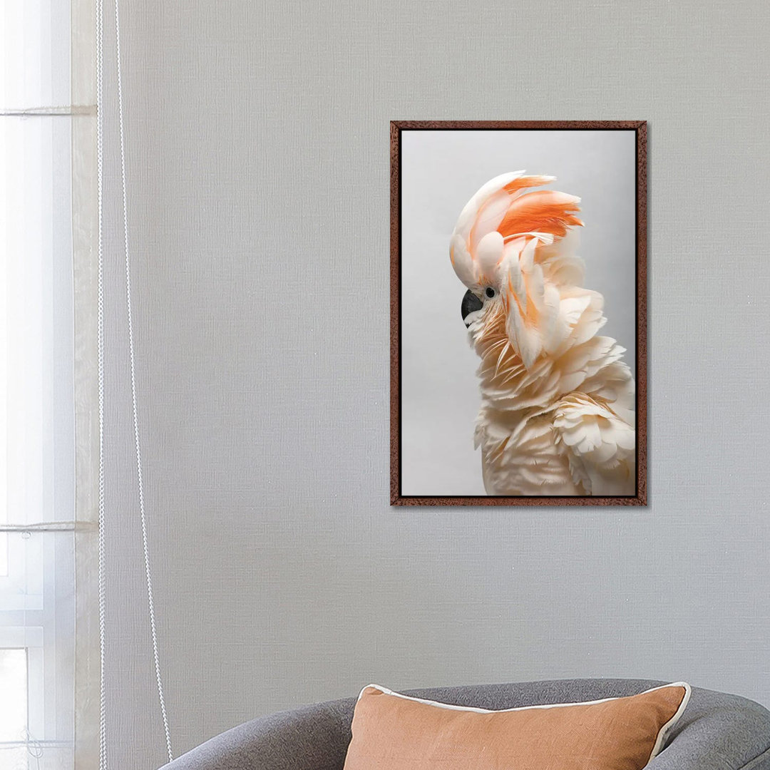 A Vulnerable Salmon-Crested Cockatoo At The Sedgwick County Zoo von Joel Sartore - Gallery-Wrapped Canvas Giclée on Canv...