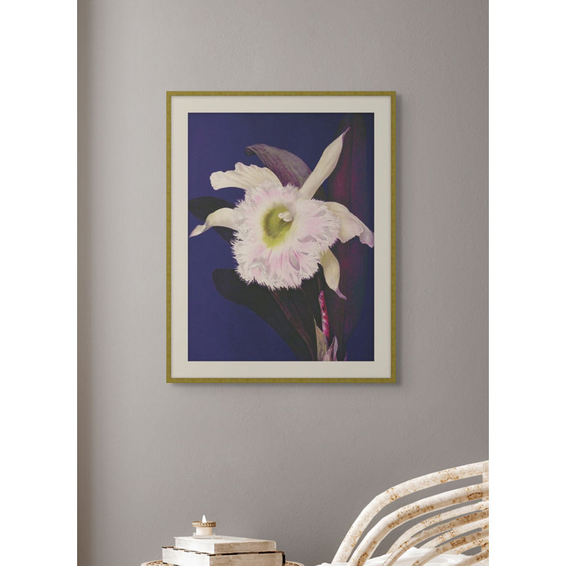 Jewel Blooms 3 Print, 34.5" H x 27.5" W