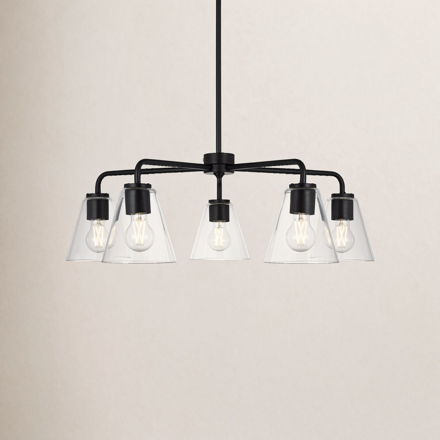 Hayden 5-Light Chandelier, Clear, Midnight Black