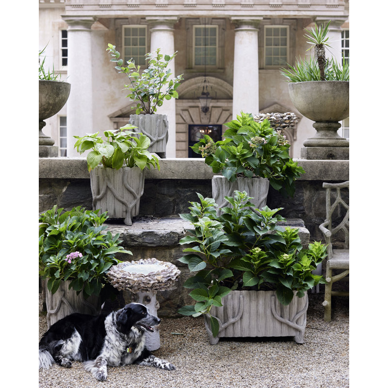 Oyster Shell Birdbath, 14" H x 13.5" W x 13.5" D