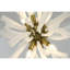 Lustre rond Emmy Murano-91854575-91854576-131066384