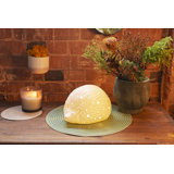 Niley Porcelain Novelty Lamp