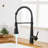 Fapully Pull Down Kitchen Faucet