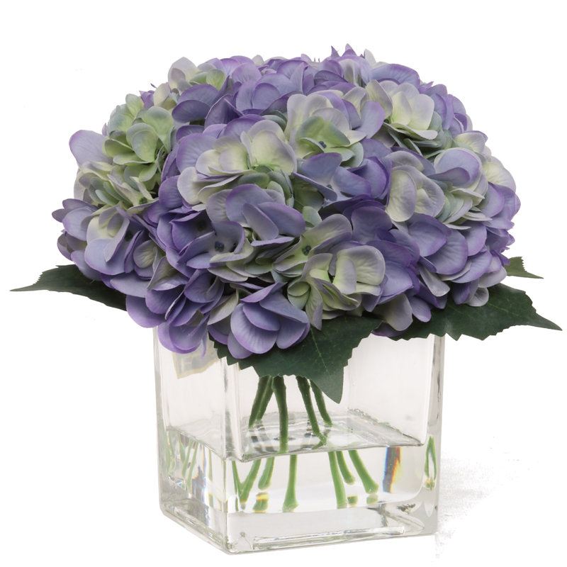 Fleurs d'hortensia Winkle Perry dans un vase en verre avec aspect d'eau