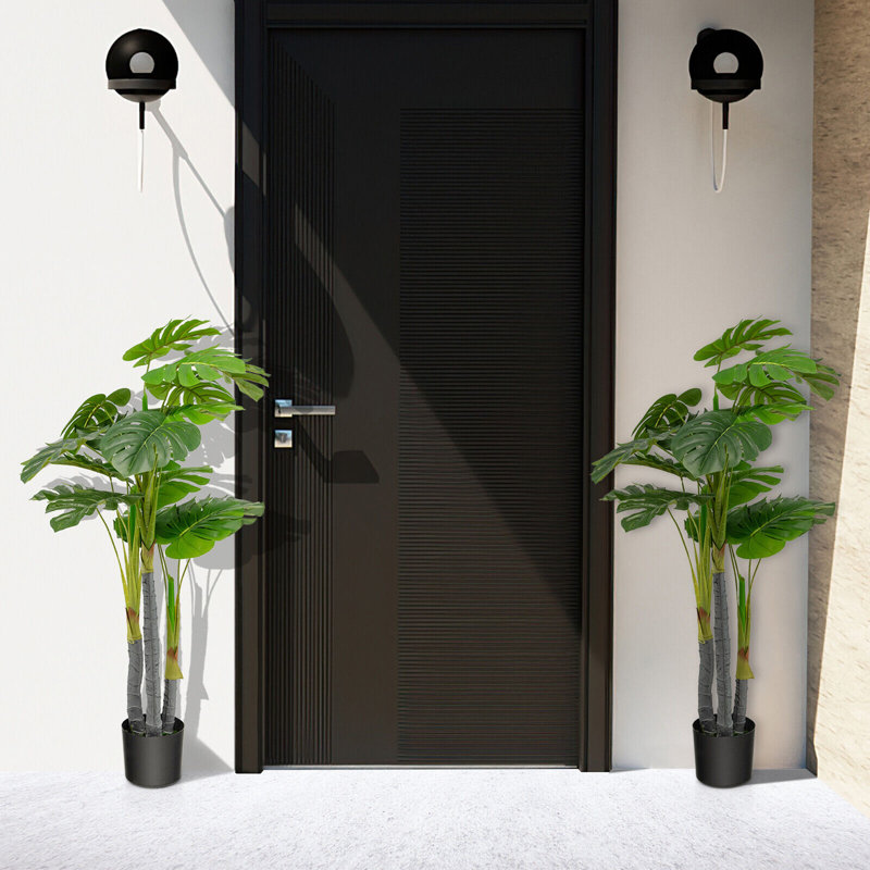 47,5 plante