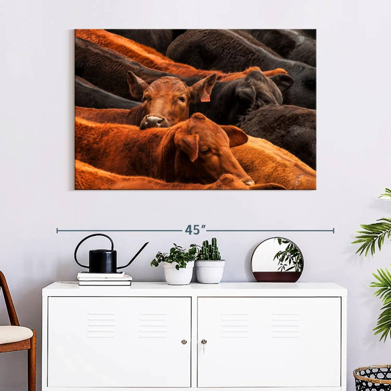 Beef Cattle, 26" H x 39" W