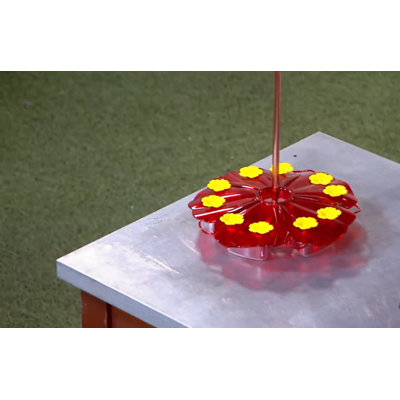 Rillia Decorative Bird Feeder