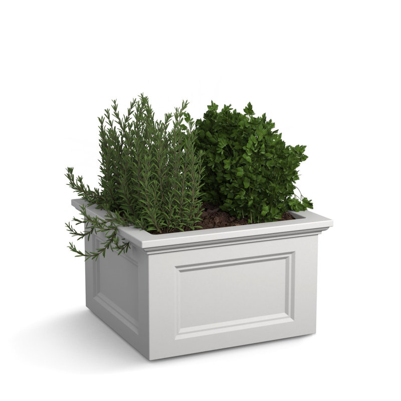 Taydra Window Box Planter, White