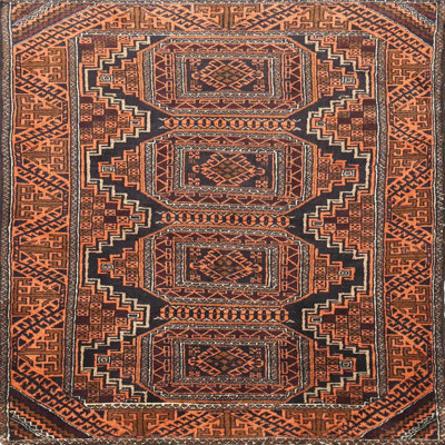 Oriental Indoor Rug
