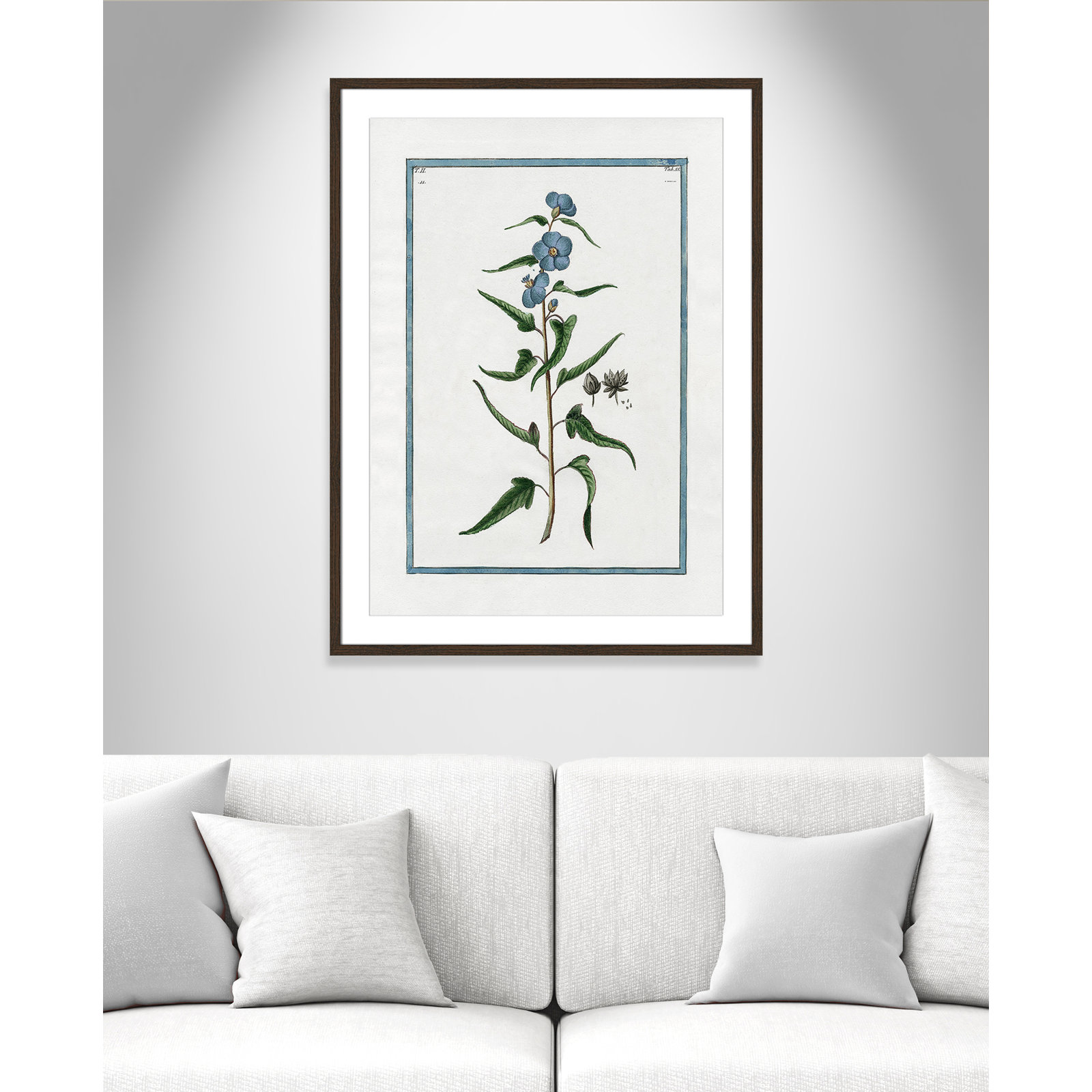 Colombe "Shabby Elegance Botanical I" Print, 25.5" W x 35.5" H, Walnut Framed