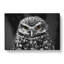 Little Owl in Abstract - Wrapped Canvas-55313227
