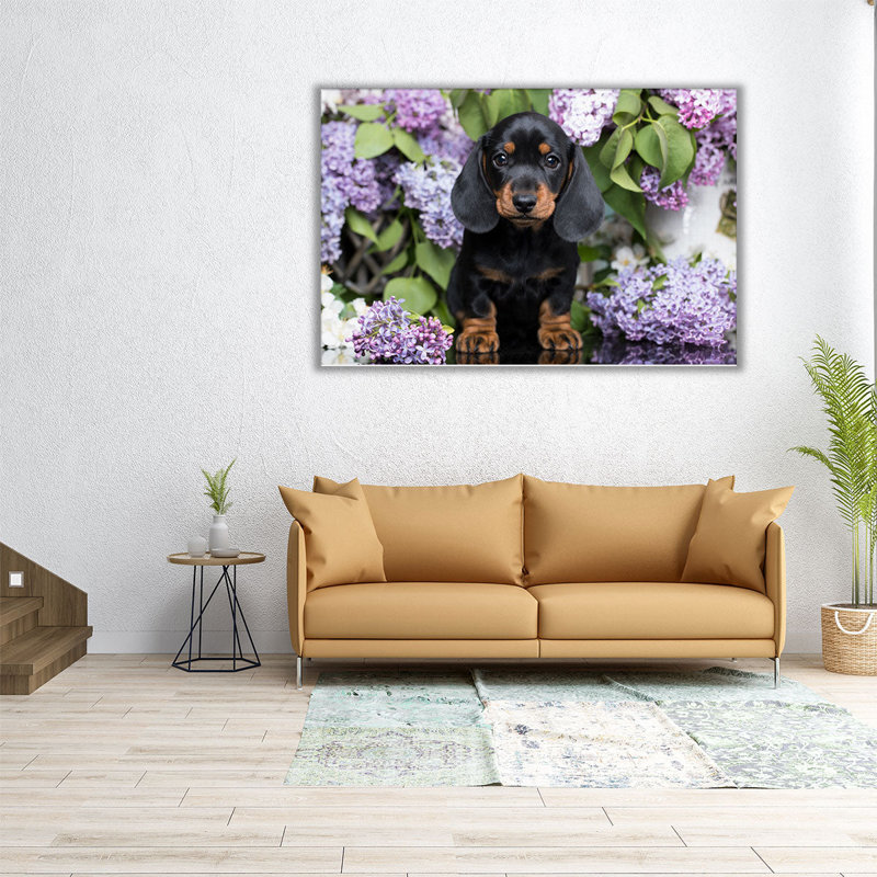 Teckel avec fleurs - reproduction d'art sur toile, H 40 po x l 60 po