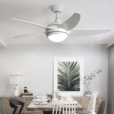 Cheryl-Ann Ceiling Fan with LED Lights