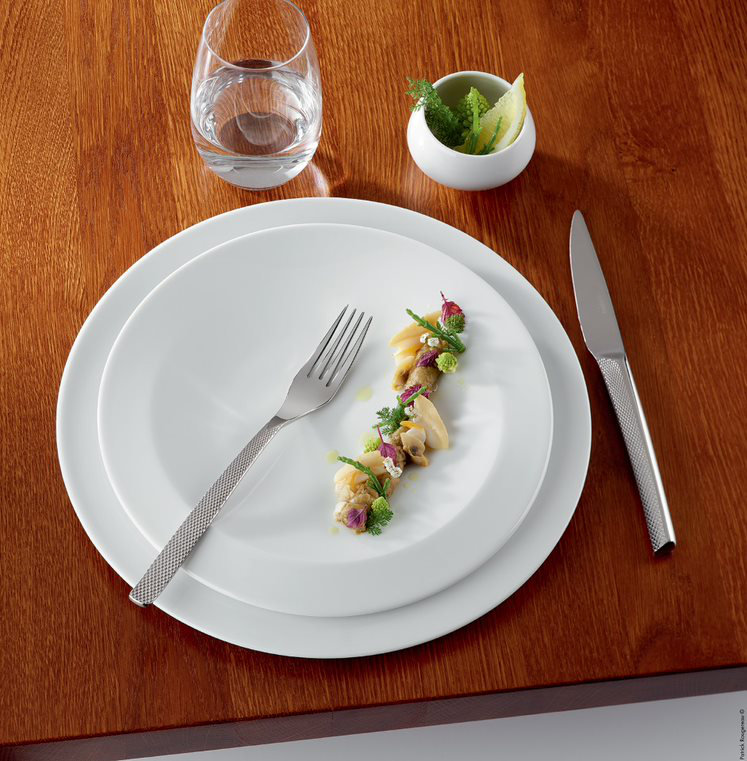 DEGRENNE Paris Stainless Steel Flatware Set