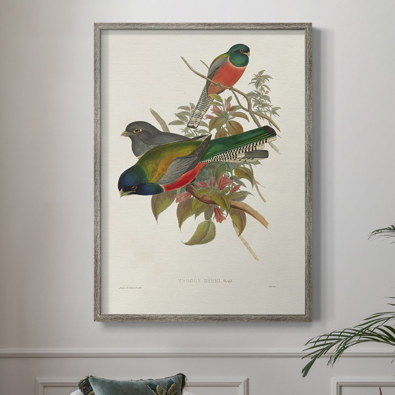 ElegantTrogonsVII Framed Print - Solid Wood