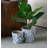 S/2 Ceramic Planters with Floral Motif