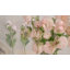 Fleurs de rose bouton d'or persan Audet-100696657