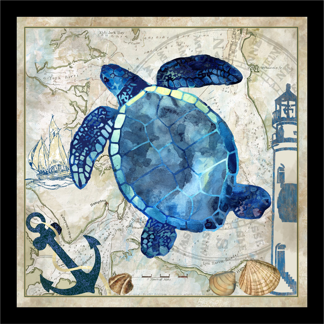 Map 'Nautical Sea Turtle' Framed Graphic Art Print Buy Art For Less 